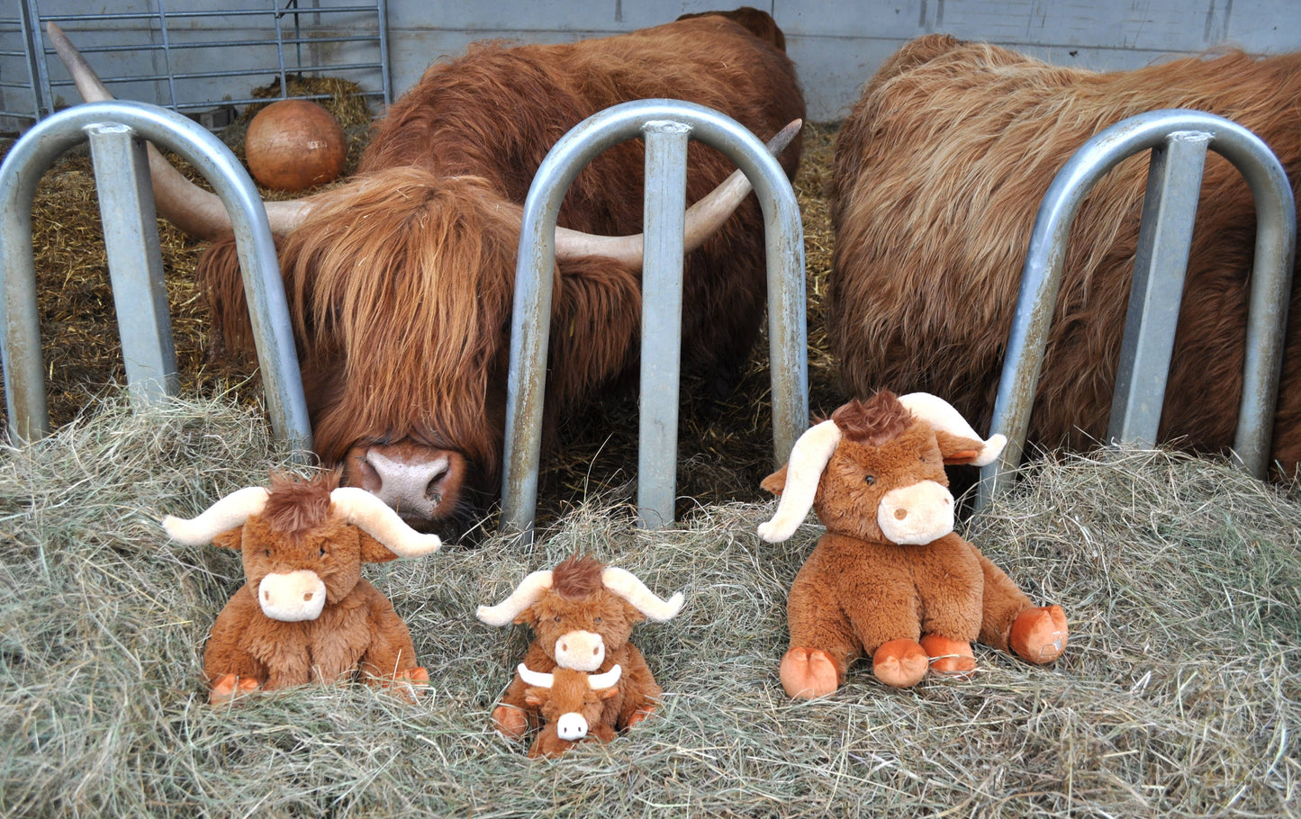 Longhorn Highland Cow Medium Plush