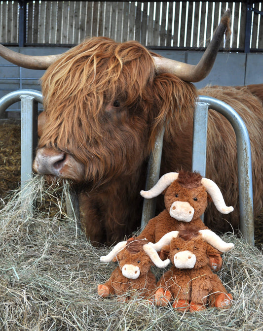 Longhorn Highland Cow Medium Plush