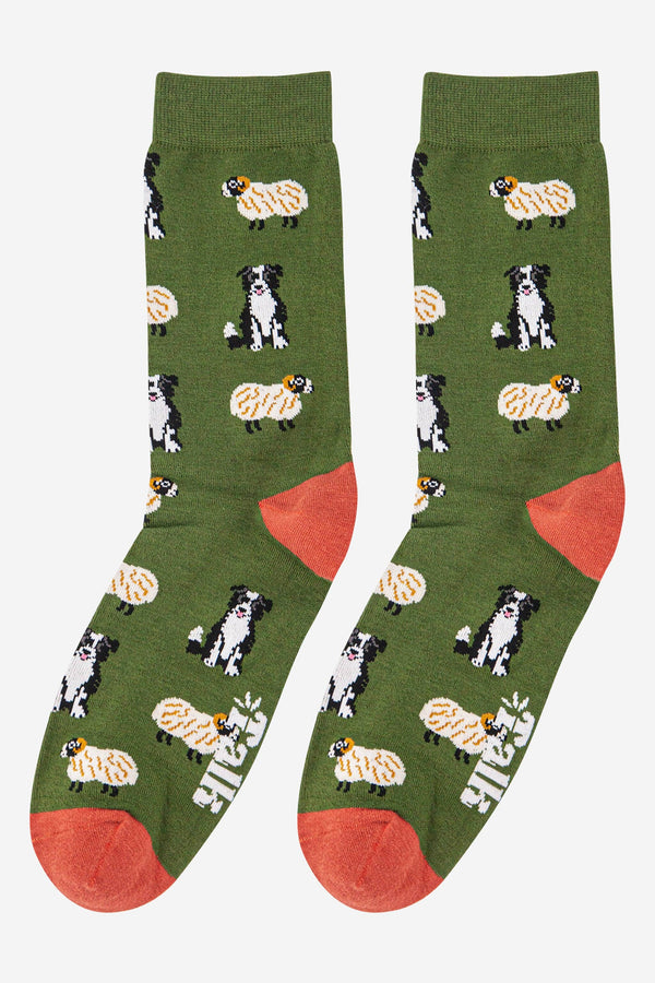 Men's Bamboo Border Collie & Sheep Socks - Green & Brown