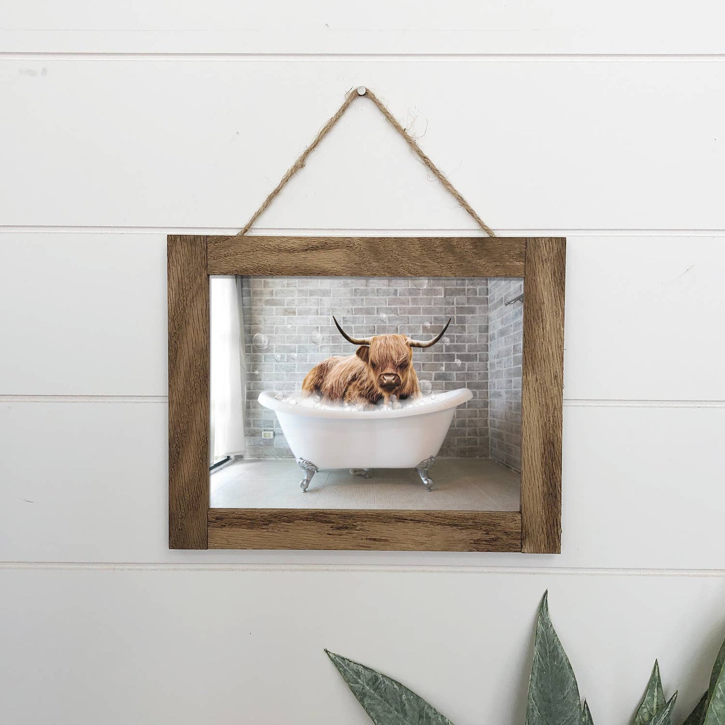 Funny Highland Cow in Bathtub 6" x 8" Small Canvas Art