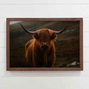 Highland Cow Dark 12" x 18" Medium Canvas Photo