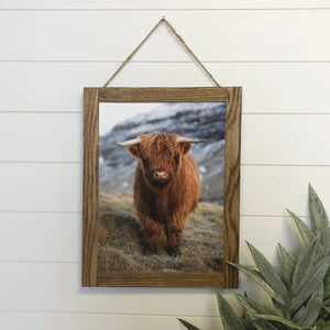 Highland Calf Canvas 12" x 18" Medium Canvas Photo