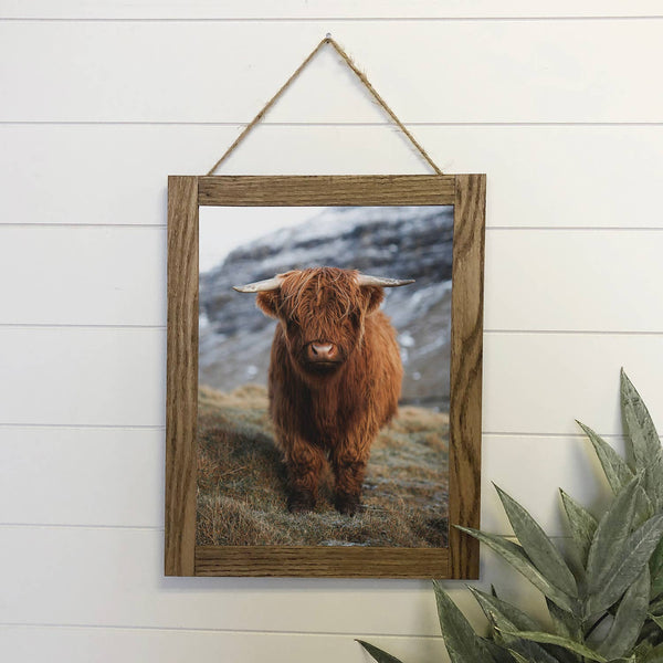 Highland Calf Canvas 12" x 18" Medium Canvas Photo