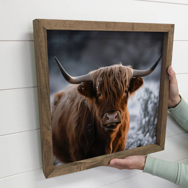 Highland Cow in Snow 15" x 15" Medium Canvas Framed Photo