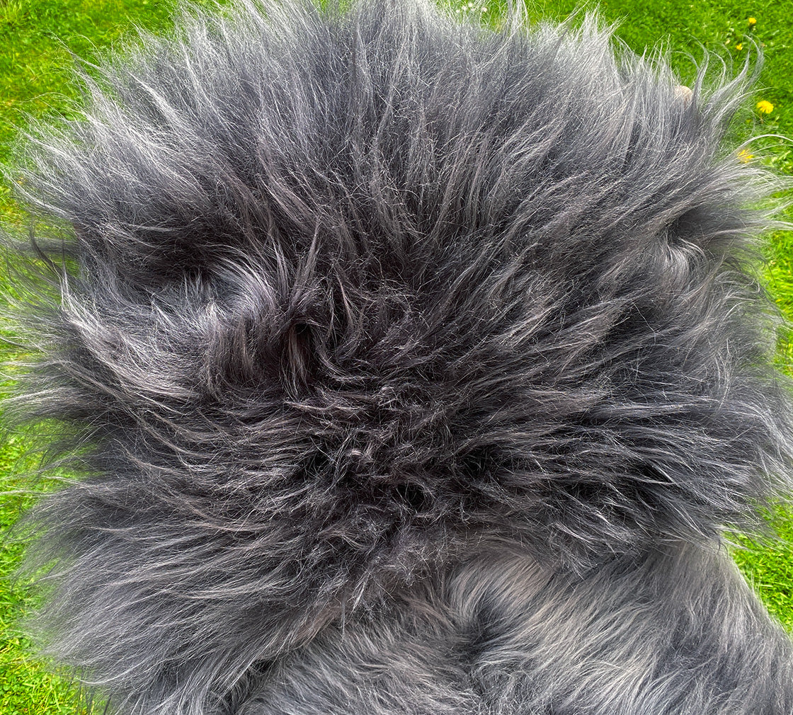 Dark Grey Icelandic Sheepskin Rug