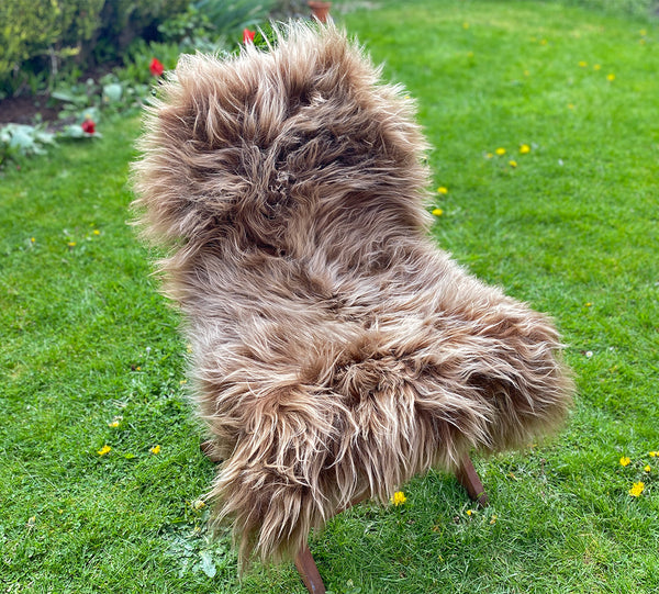 Highland Cow Brown Icelandic Sheepskin Rug
