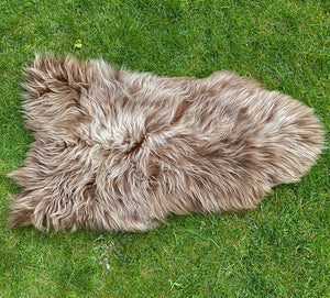 Highland Cow Brown Icelandic Sheepskin Rug