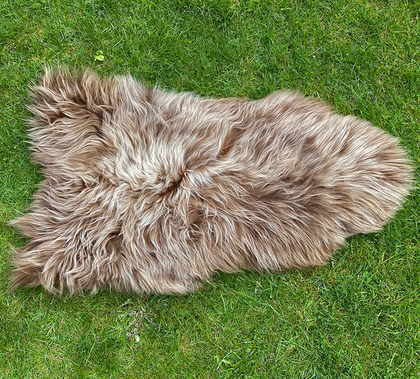 Highland Cow Brown Icelandic Sheepskin Rug