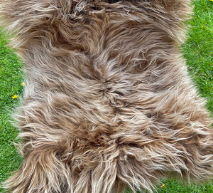 Highland Cow Brown Icelandic Sheepskin Rug