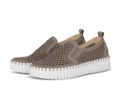 Tulip Platform Shoe - Falcon