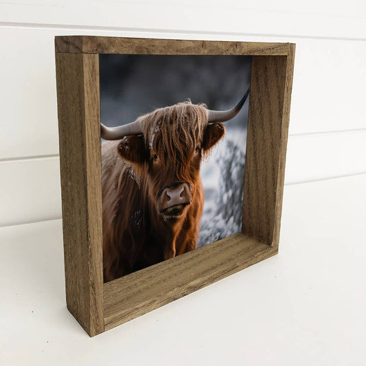 Highland Cow in Snow 15" x 15" Medium Canvas Framed Photo