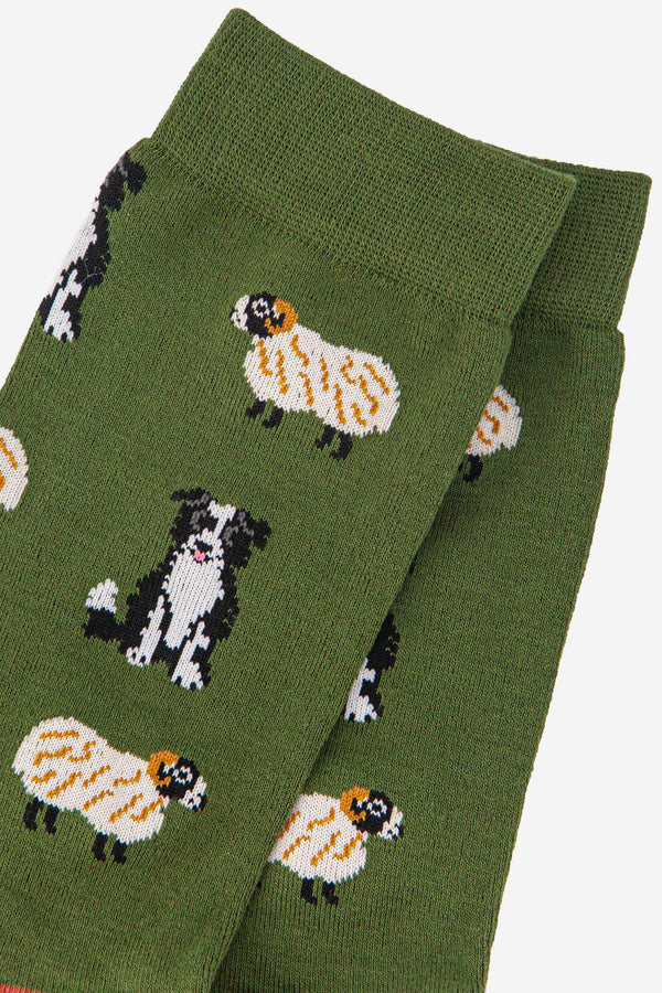 Men's Bamboo Border Collie & Sheep Socks - Green & Brown