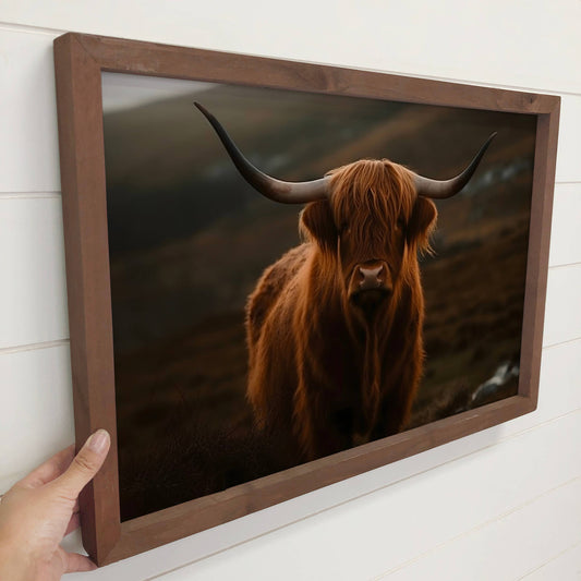 Highland Cow Dark 12" x 18" Medium Canvas Photo