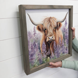 Highland Cow Lavender Fields 11" x 11" Small Canvas