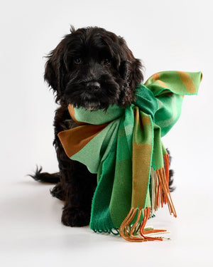Avoca Merino Wide  Scarf - Tricolor Stripe
