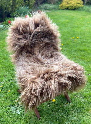 Highland Cow Brown Icelandic Sheepskin Rug