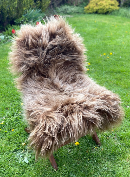 Highland Cow Brown Icelandic Sheepskin Rug