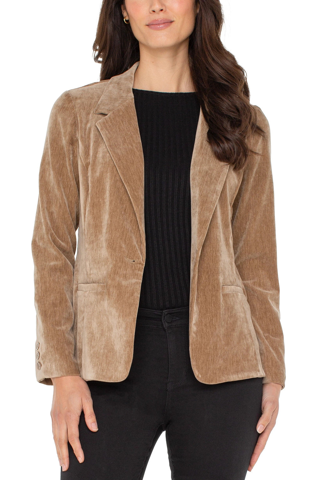 Velvet Fitted Blazer