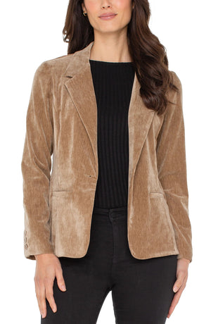 Velvet Fitted Blazer