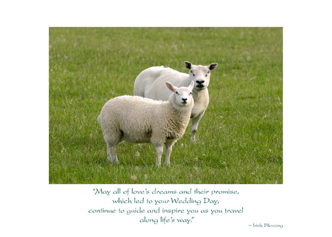 Irish Sheep Anniversary Card
