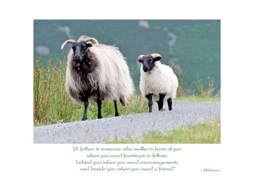 Irish Sheep Father's Day Card